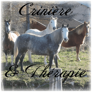Crinière & Thérapie