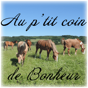 P'tit coin de Bonheur