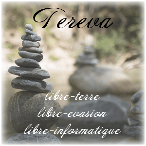 Tereva